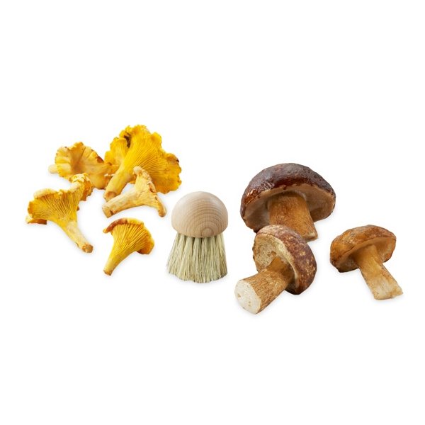 Brosse à champignons avec poignée Redecker - Accessoires de cuisine >