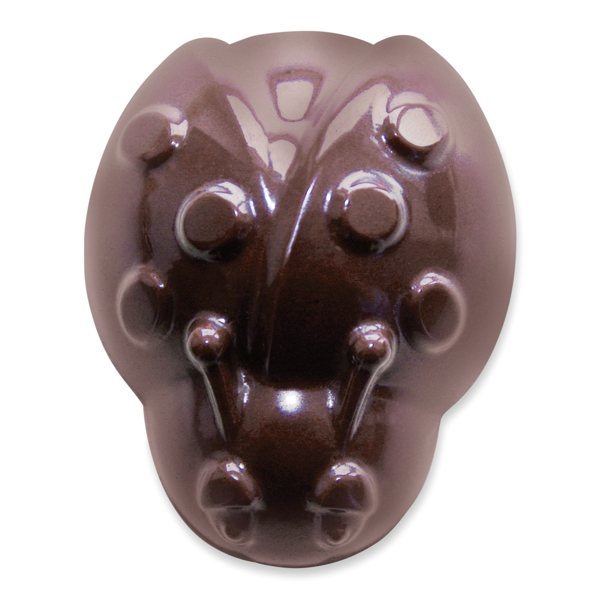 Moule à chocolat en silicone printemps